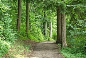 Balade nature avec marche consciente à Vacancèze Balade nature avec marche consciente à Bessèges